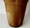 Korean Ice Coffee